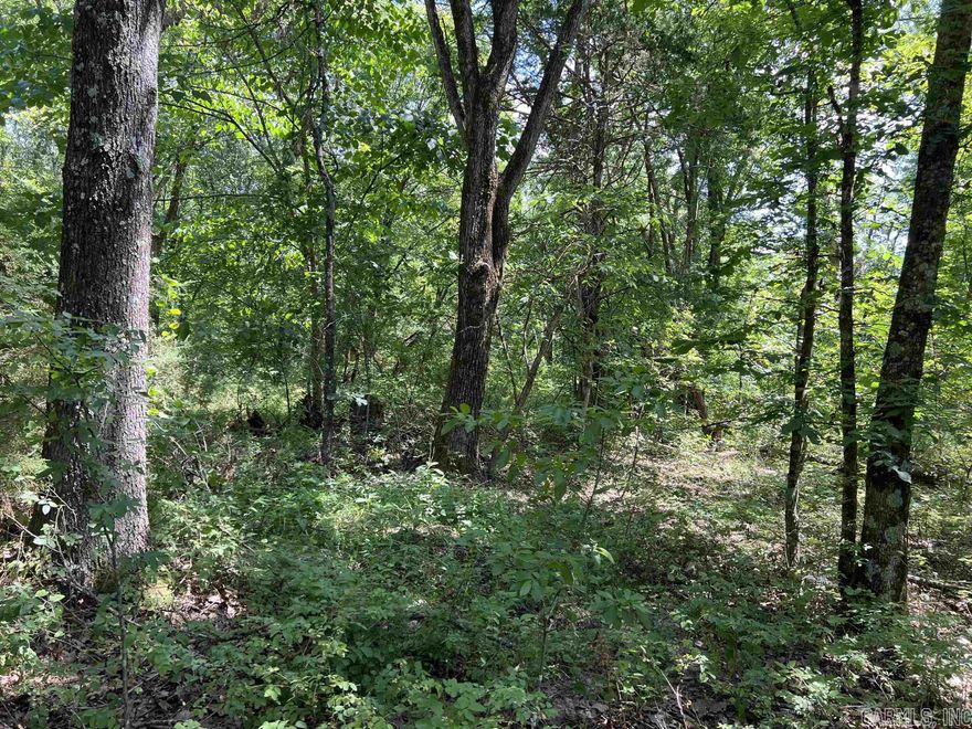 5.49 Acres with large trees and nice building sight and NO Restrictions. Come check it out today.