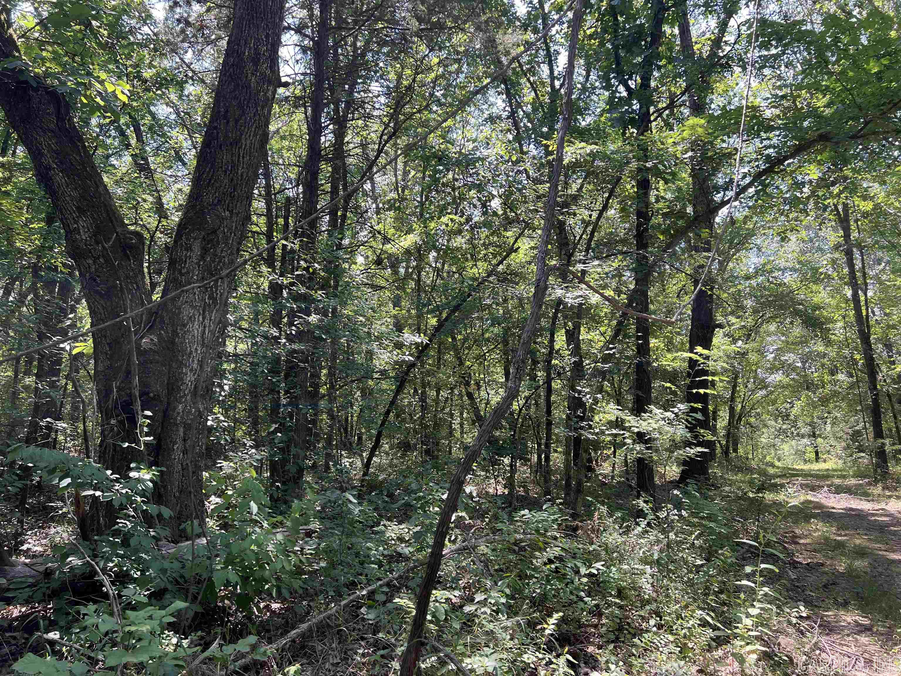 Metes & Bounds - Land