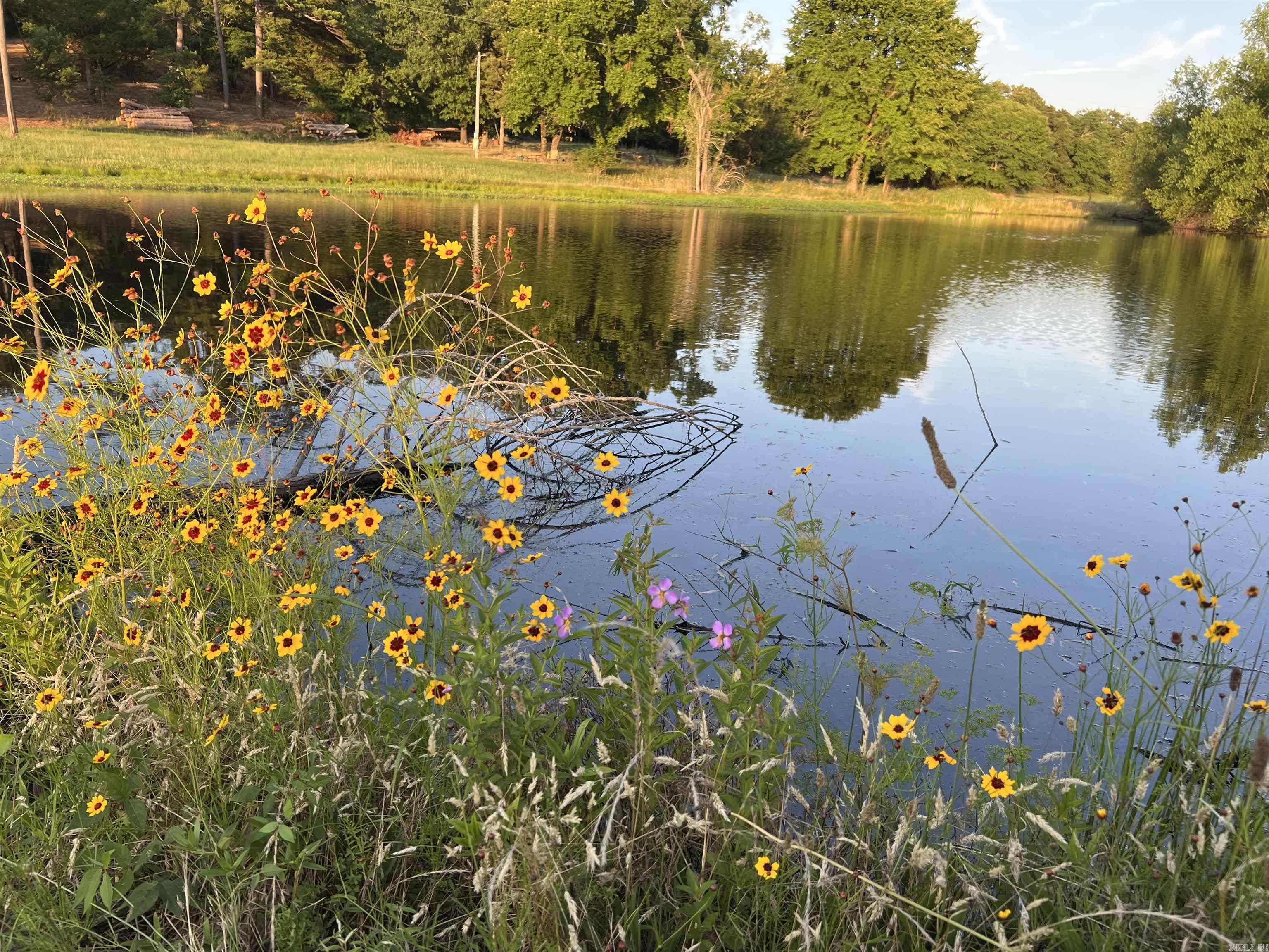 This SPECIAL property sits in a very sought after location between Board Camp and Nunley. Access to Board Camp Creek is deeded with the property, and there is a large shared pond for a beautiful view from the hill on this 9.5 acres! With multiple build sites and BEAUTIFUL VIEWS, this land would make an IDEAL location to build a cabin or homestead! Easy access to Wolf Pen Gap Trails!