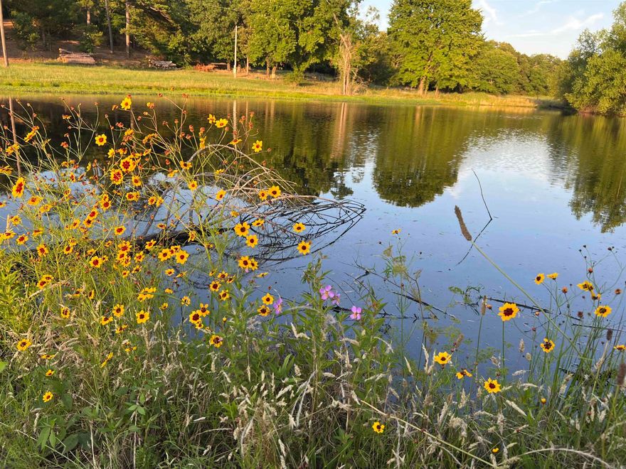 This SPECIAL property sits in a very sought after location between Board Camp and Nunley. Access to Board Camp Creek is deeded with the property, and there is a large shared pond for a beautiful view from the hill on this 9.5 acres! With multiple build sites and BEAUTIFUL VIEWS, this land would make an IDEAL location to build a cabin or homestead!  Easy access to Wolf Pen Gap Trails!