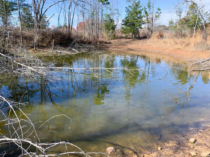 Great find in the Quitman area -- more than 23 acres of land, just 10 minutes from town, and only TWO miles to the nearest boat ramp at Greers Ferry Lake. The land has a pretty vista view, and a gentle draw down to a small pond. With a little work, this property could be transformed into a beautiful pasture or be left to grow wild again. Plenty of opportunities to spot wildlife. Blue Herons and ducks frequent the pond and there are several sets of deer tracks. Would be such a peaceful place to call home.
