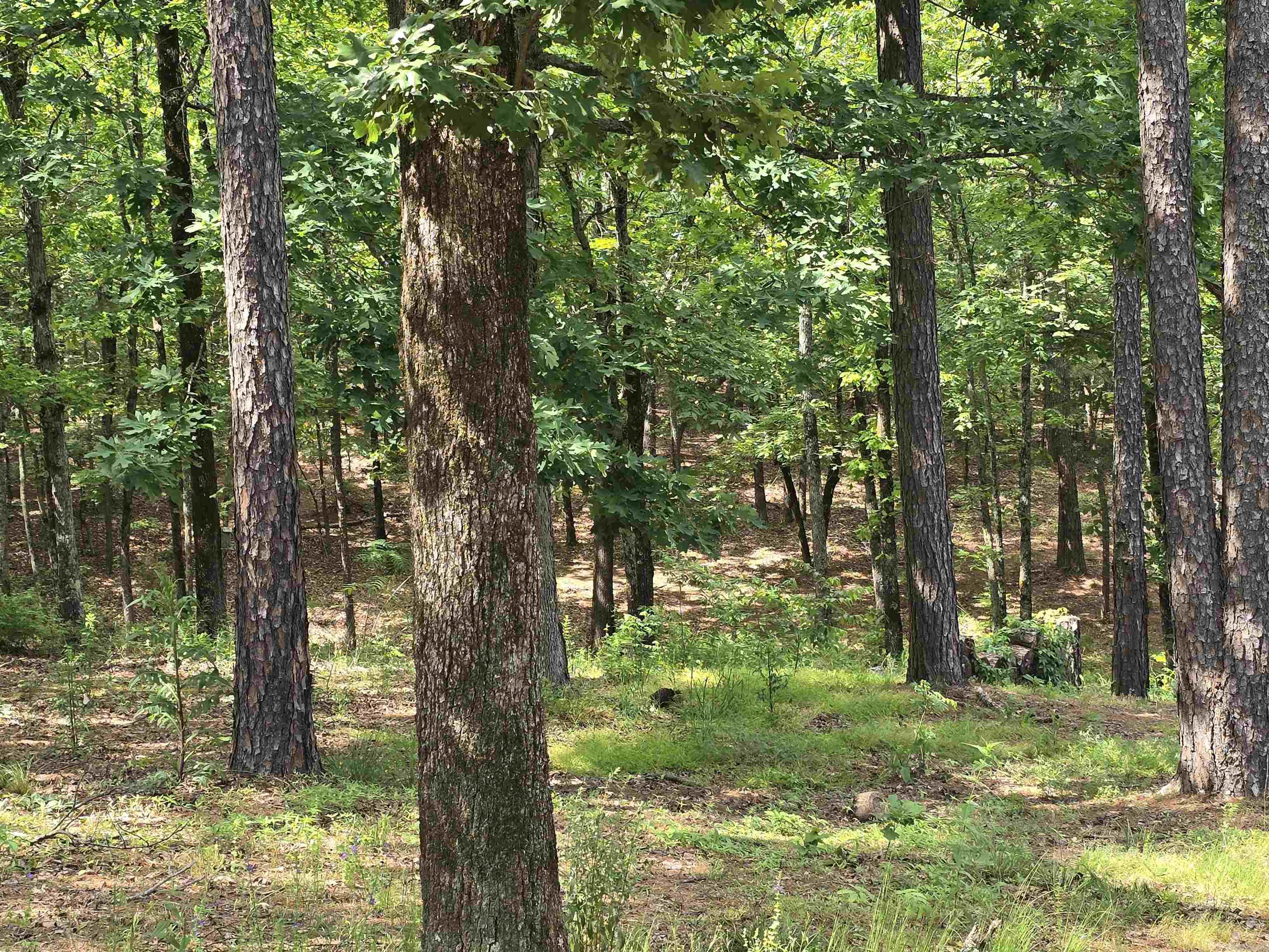 RED OAK ACRES - Residential