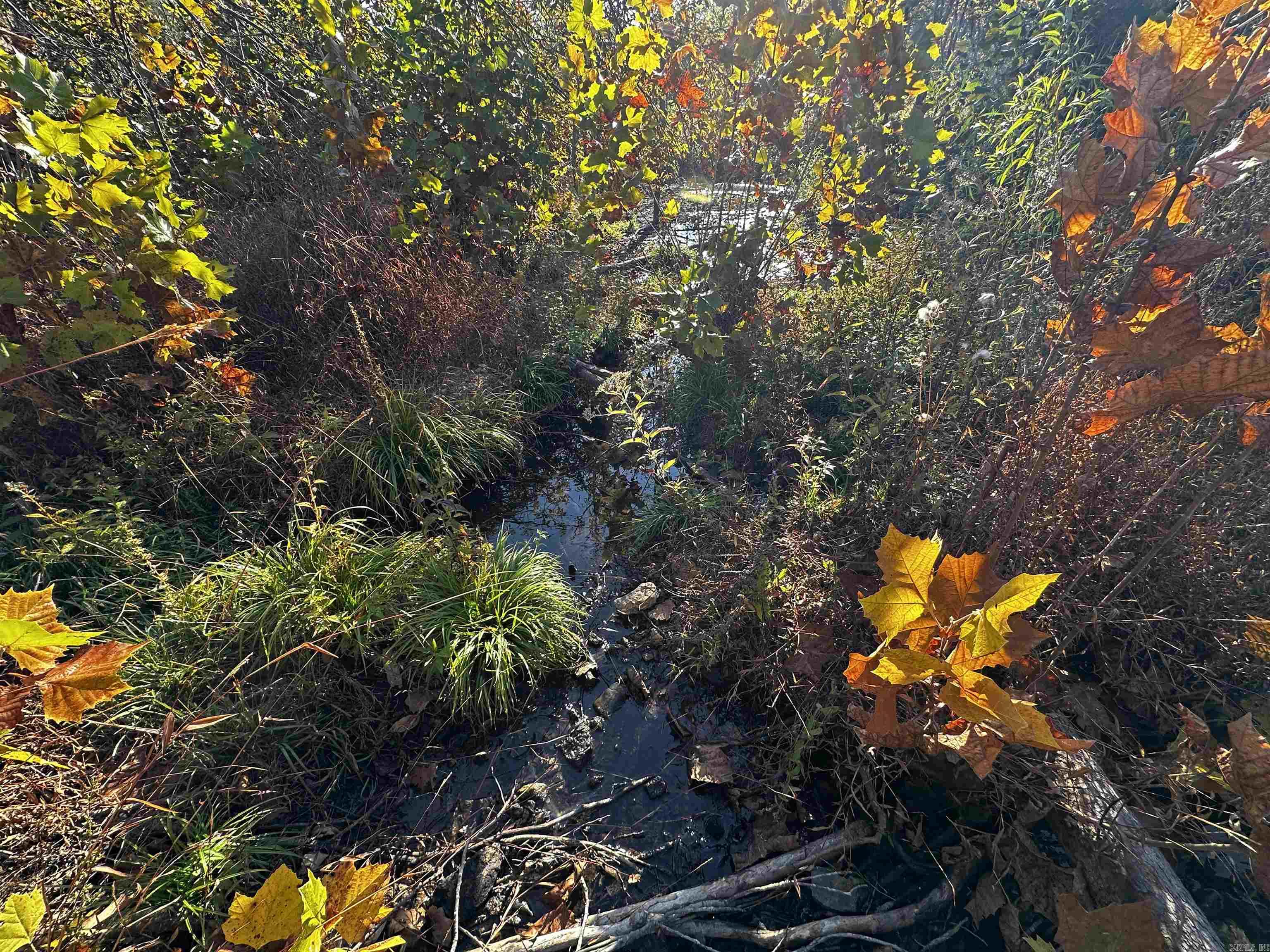 Metes & Bounds - Land