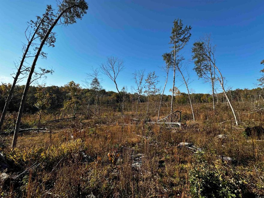 This 31-acre property in Evening Shade, Arkansas, presents a fantastic opportunity for hunters, outdoor enthusiasts, or anyone seeking a versatile rural escape. Fully cleared with all trees removed, the open landscape offers expansive views and excellent flexibility for potential uses, from hunting grounds to future development. Known for its prime hunting, the property includes ideal bedding areas for wildlife, creating a natural haven for deer and other game. A seasonal creek winds through the property, adding to the scenic appeal and enhancing the habitat for local wildlife. Essential utilities are conveniently located along the road, including county water and electric access, making it a practical choice for building a hunting cabin or an off-grid retreat. With its rural charm yet proximity to town amenities, this property in Sharp County strikes a balance between tranquility and accessibility. At an attractive price, this tract is ideal for recreational use, investment, or those simply looking to create their own slice of paradise in Arkansas. This property is Agent Owned.
