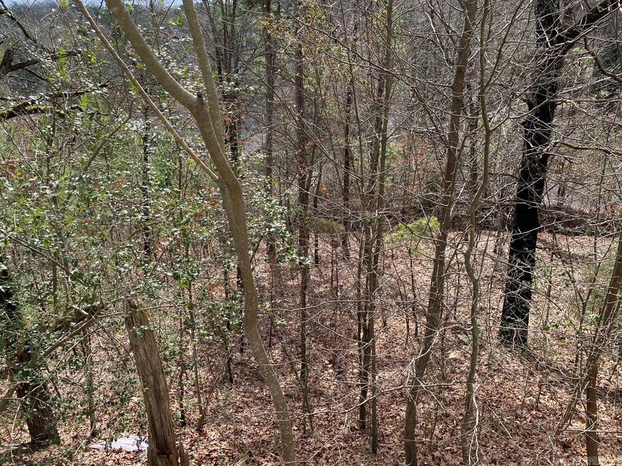 23 +/- Acres wooded ready for you to build on several flat sites on property.