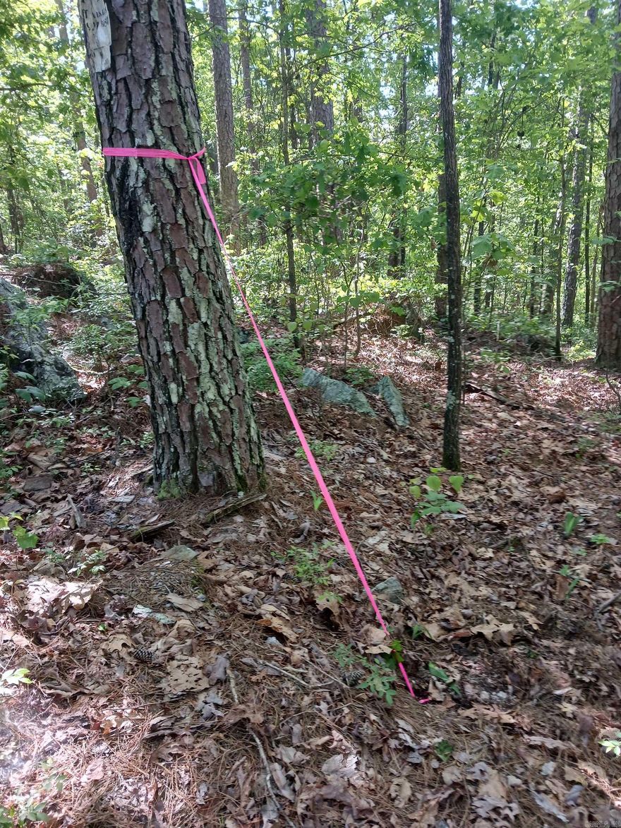 Secluded Lot in Hot Springs Village in the Priego Subdivision. Hot Springs Village is the largest gated community in the country with 26,000 acres, 11 lakes, 9 golf courses and miles of walking trails.