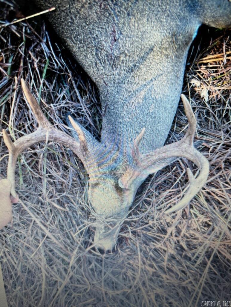 Not in Subdivision - Land