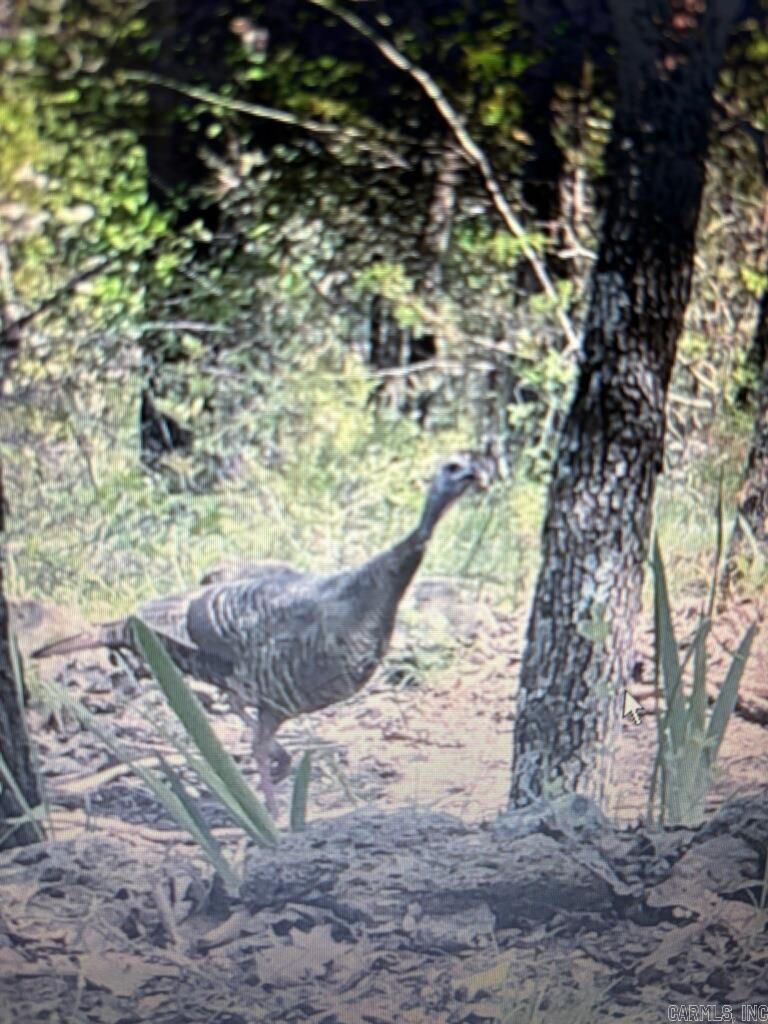 Not in Subdivision - Land