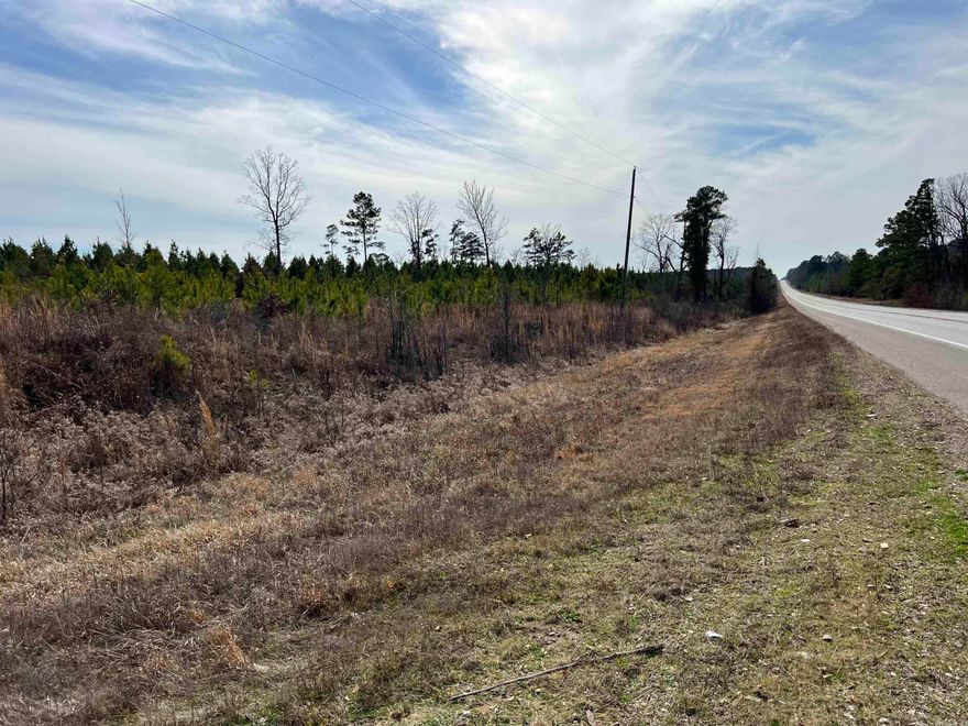 This 19.2-acre property is located on the north side of Highway 79. Planted with pine in 2020, this tract offers great potential for timber investment, providing an opportunity for future growth and returns. Just 10 miles from Pine Bluff, the location makes it perfect for a quiet getaway and a convenient location to town amenities. Whether you're an investor looking to add to your timberland portfolio or someone seeking a peaceful escape with potential for development, this property presents many opportunities in a desirable location. SELLER IS RETAINING MINERAL RIGHTS.
