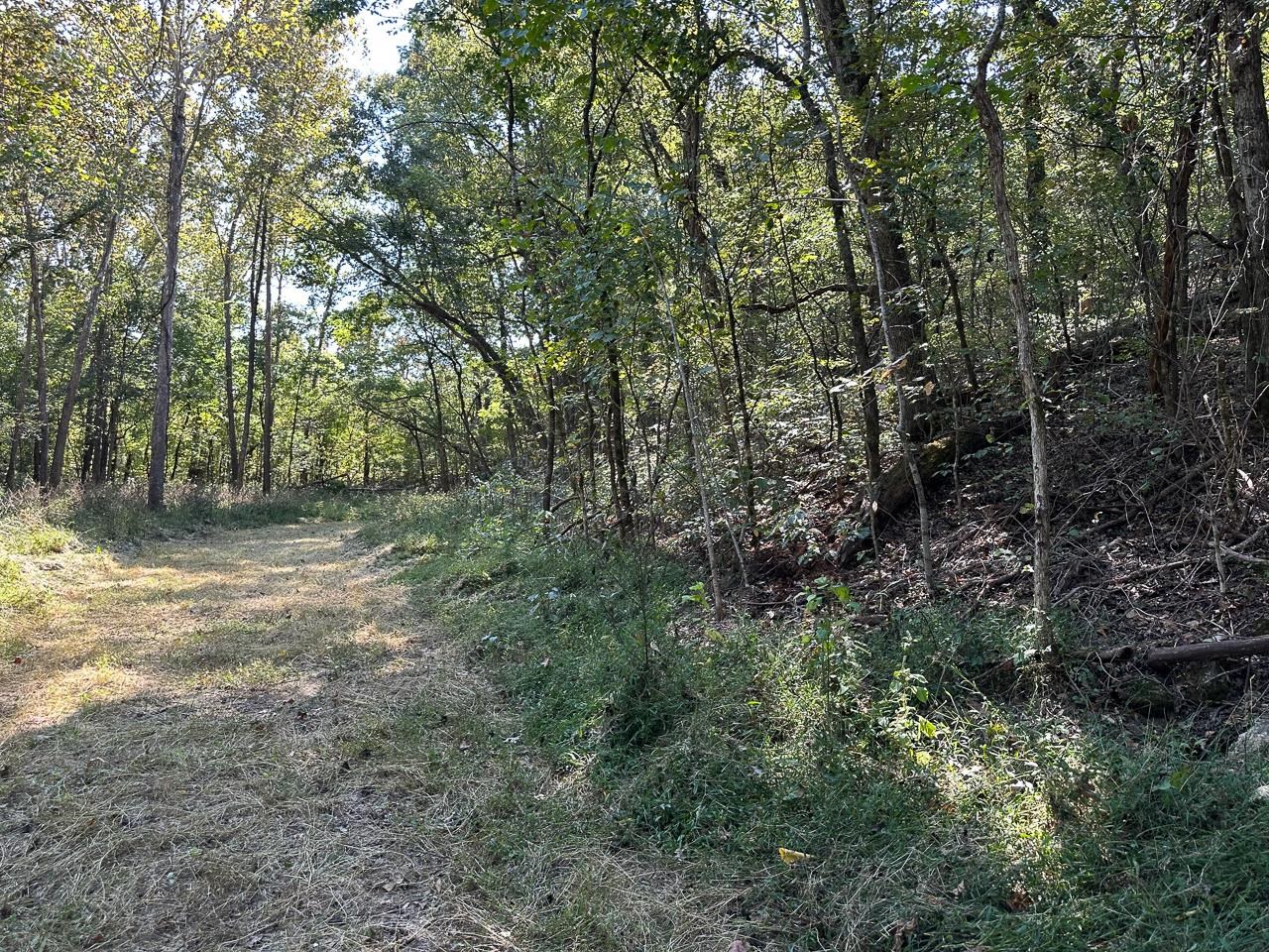 White Horse Mountain - Land