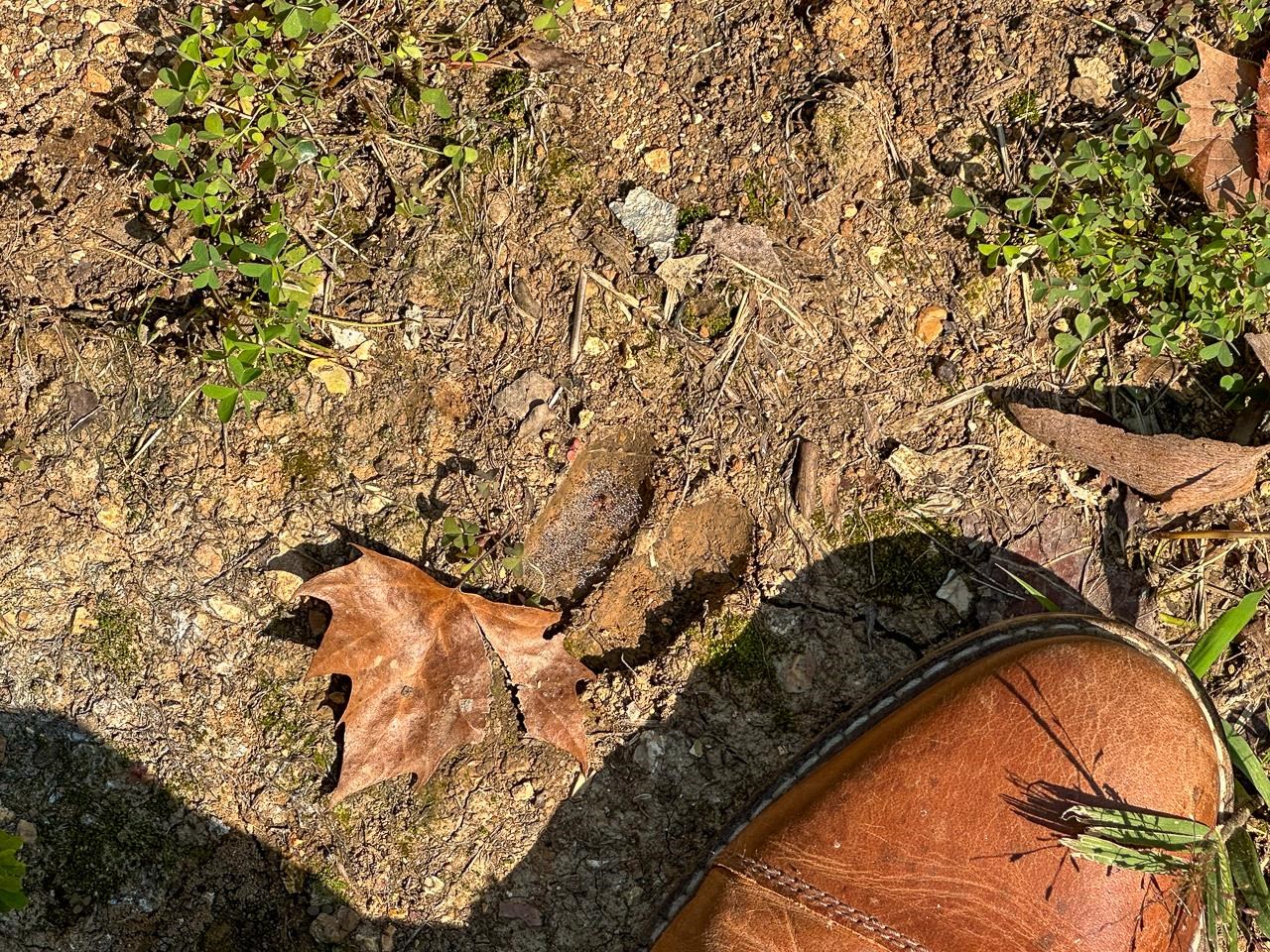 White Horse Mountain - Land