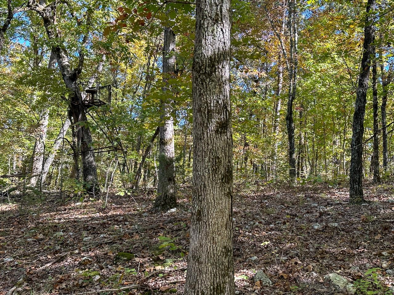 White Horse Mountain - Land