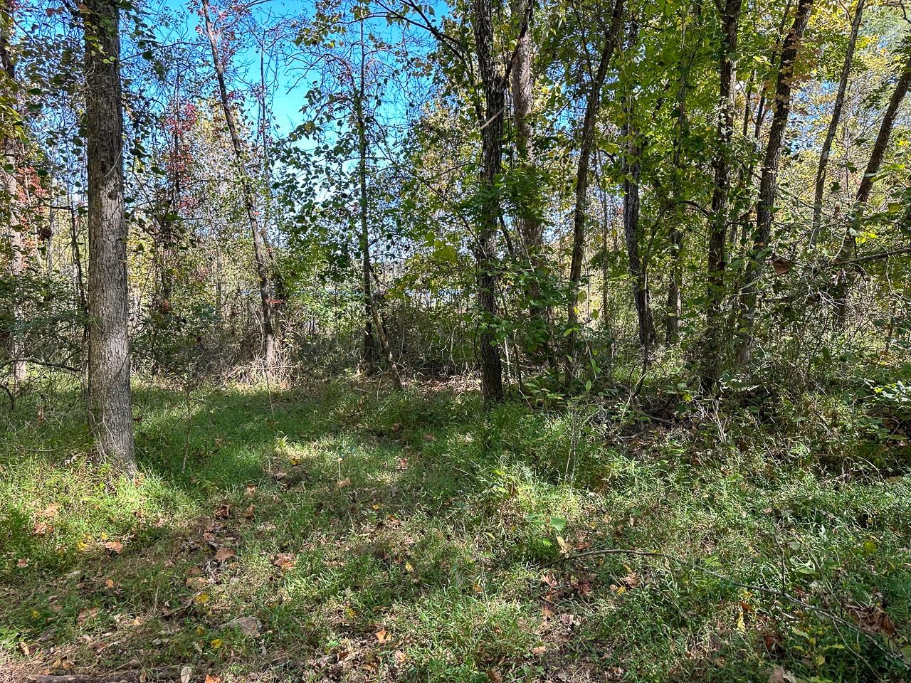 White Horse Mountain - Land