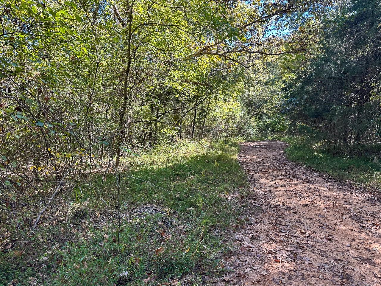 White Horse Mountain - Land
