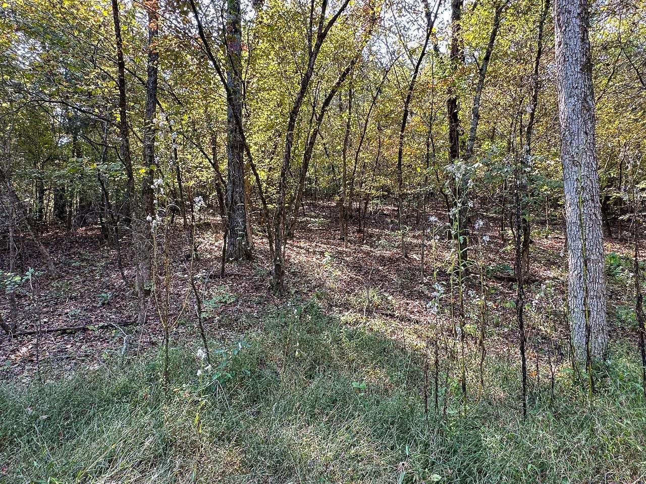 White Horse Mountain - Land