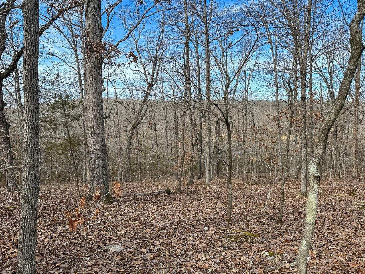 White Horse Mountain - Land