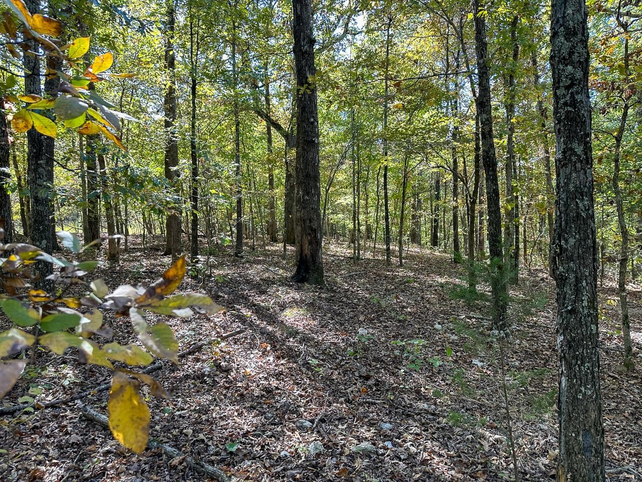 White Horse Mountain - Land