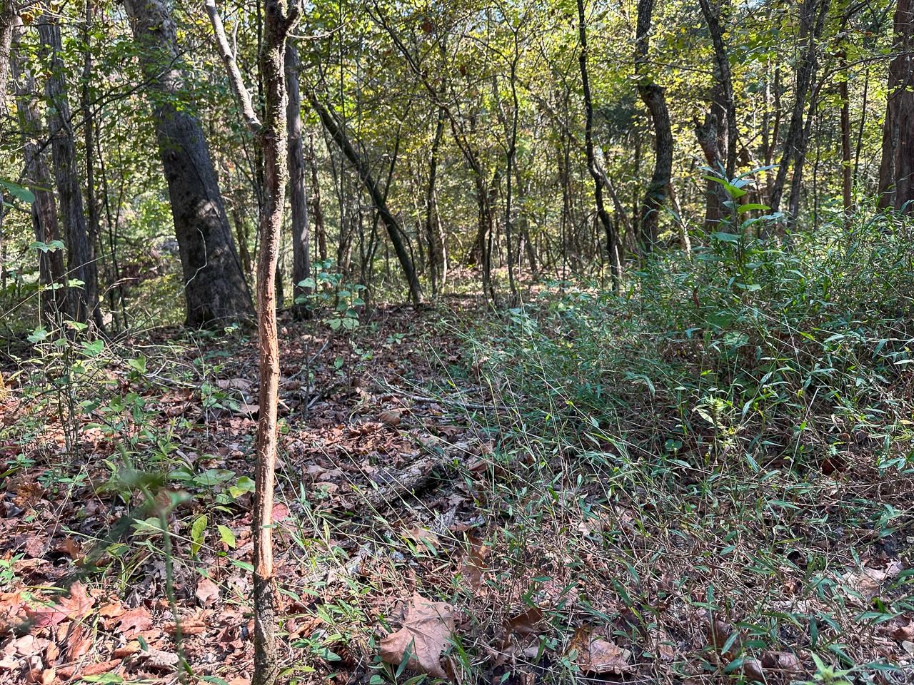 White Horse Mountain - Land