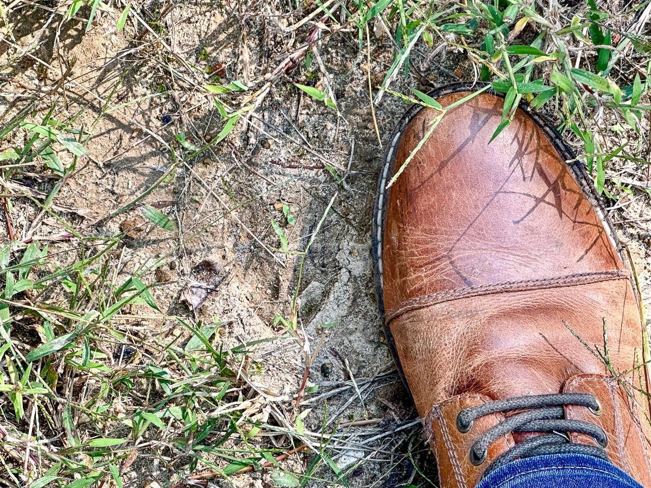 White Horse Mountain - Land