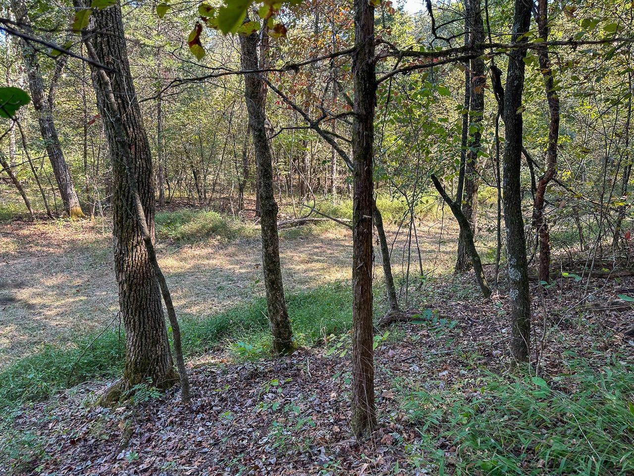 White Horse Mountain - Land