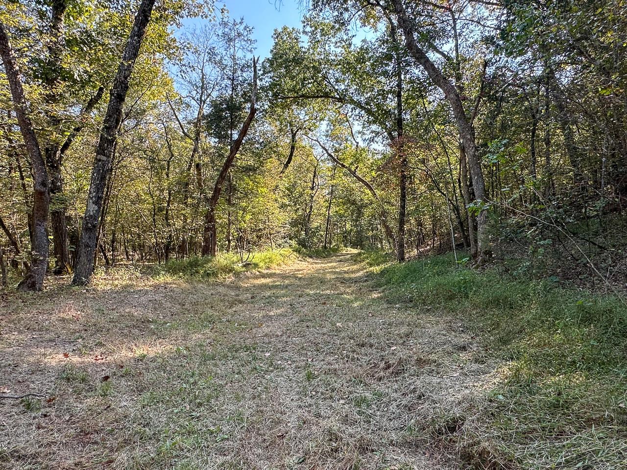 White Horse Mountain - Land