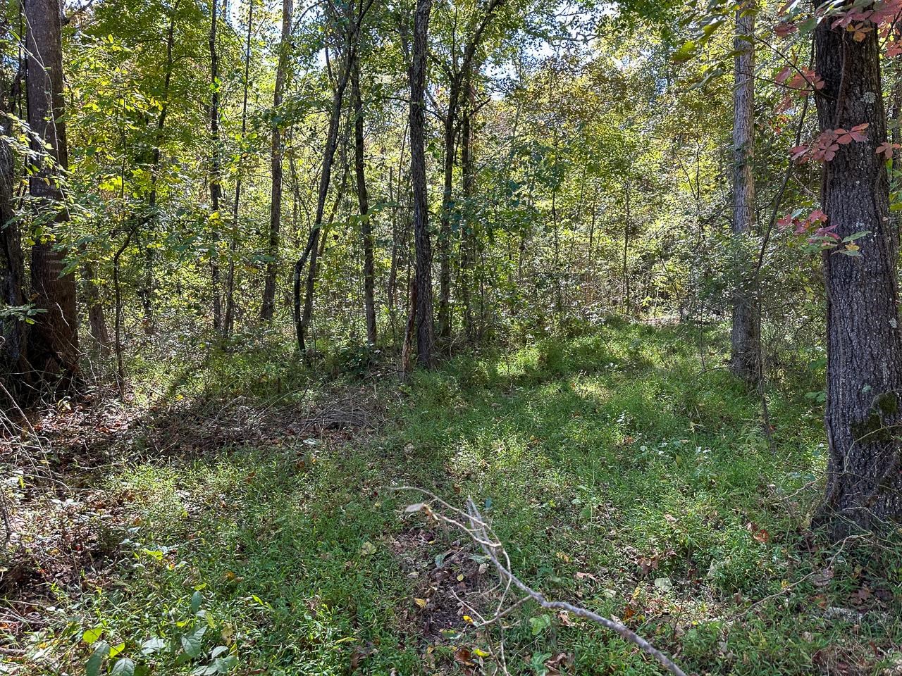 White Horse Mountain - Land