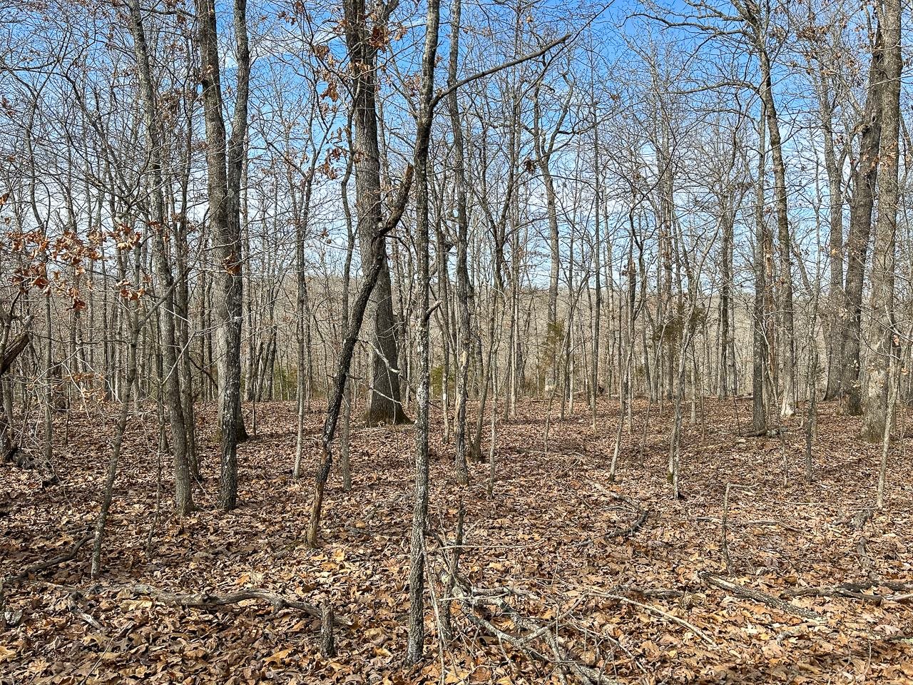 White Horse Mountain - Land