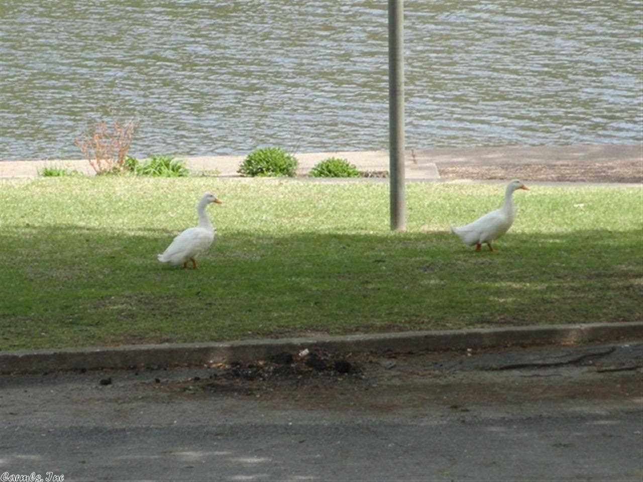 PARK HILL - Residential