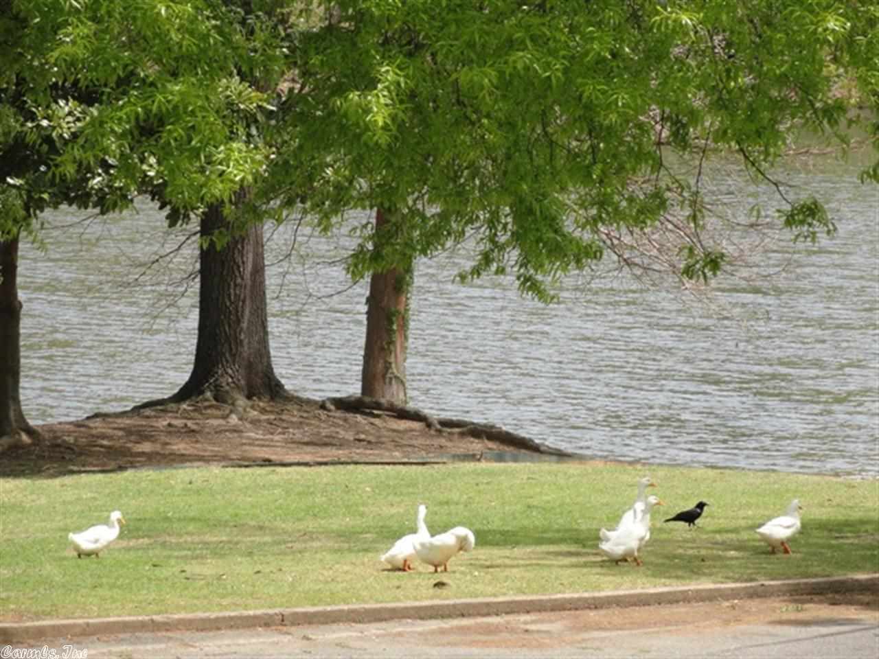 PARK HILL - Residential