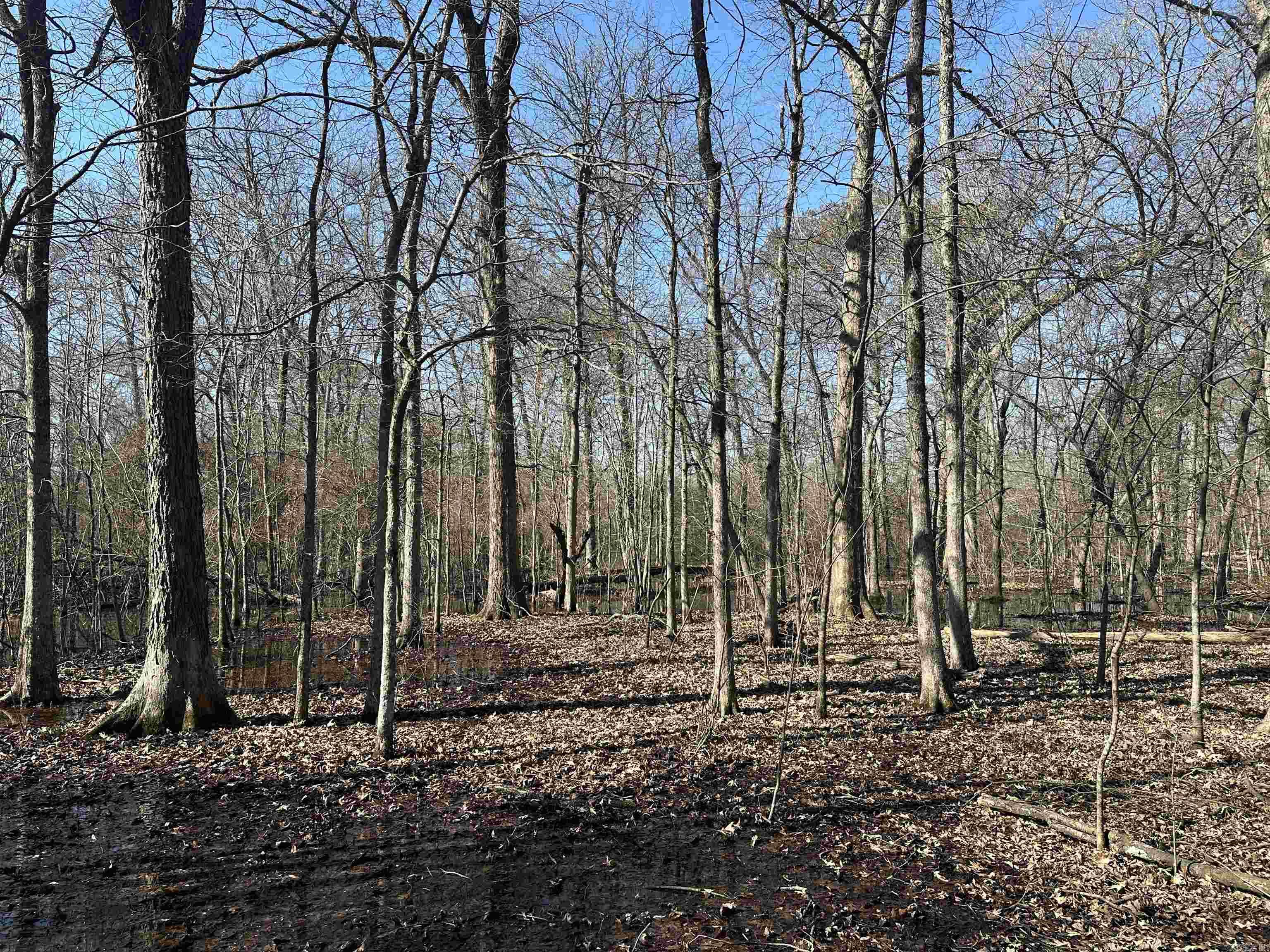 Metes & Bounds - Land