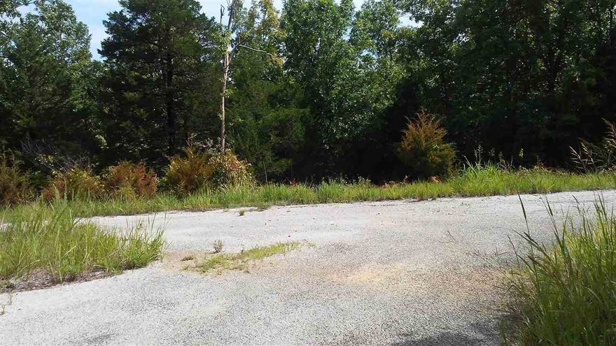 Nice buildable lot near Lake Thunderbird in Cherokee Village! Very private location-no houses on this street. Easy access to lot which comes with access to 7 Lakes, 2 Golf Courses, recreation centers, walk paths and so much more! South Fork of the Spring River runs thru Cherokee Village with the Spring River in Hardy just minutes away with great fishing, rafting and canoeing! City water and electricity at the road. Perc test/septic tank required to build. Restrictions-no mobile/temporary nature structures