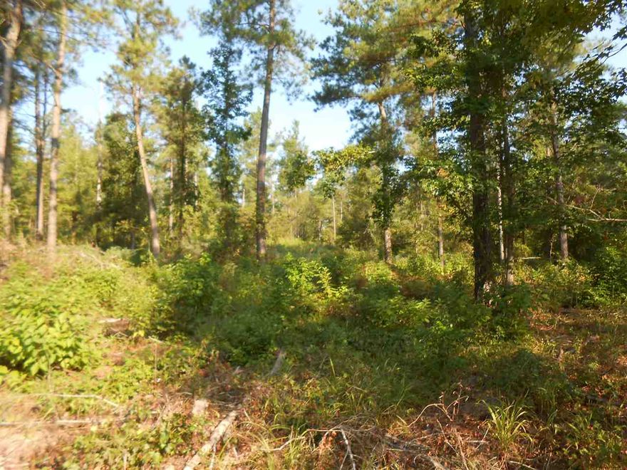 TRADE THOSE CITY LIGHTS FOR STARRY NIGHTS and build your dream home on one of these lovely lots.  Close to Kirby Landing Marina to launch your boat for a fun day on Lake Greeson.