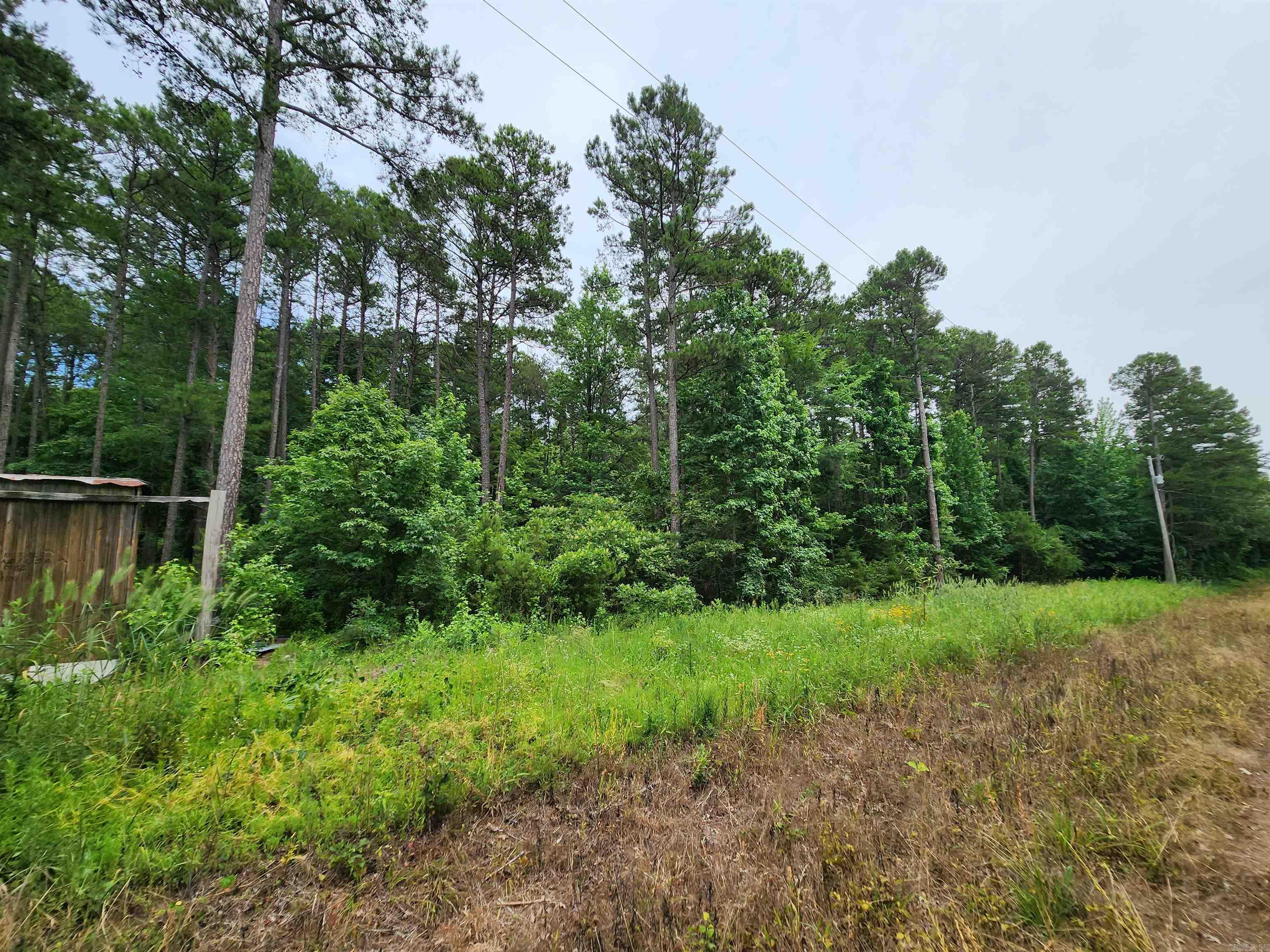 Budd Creek - Land