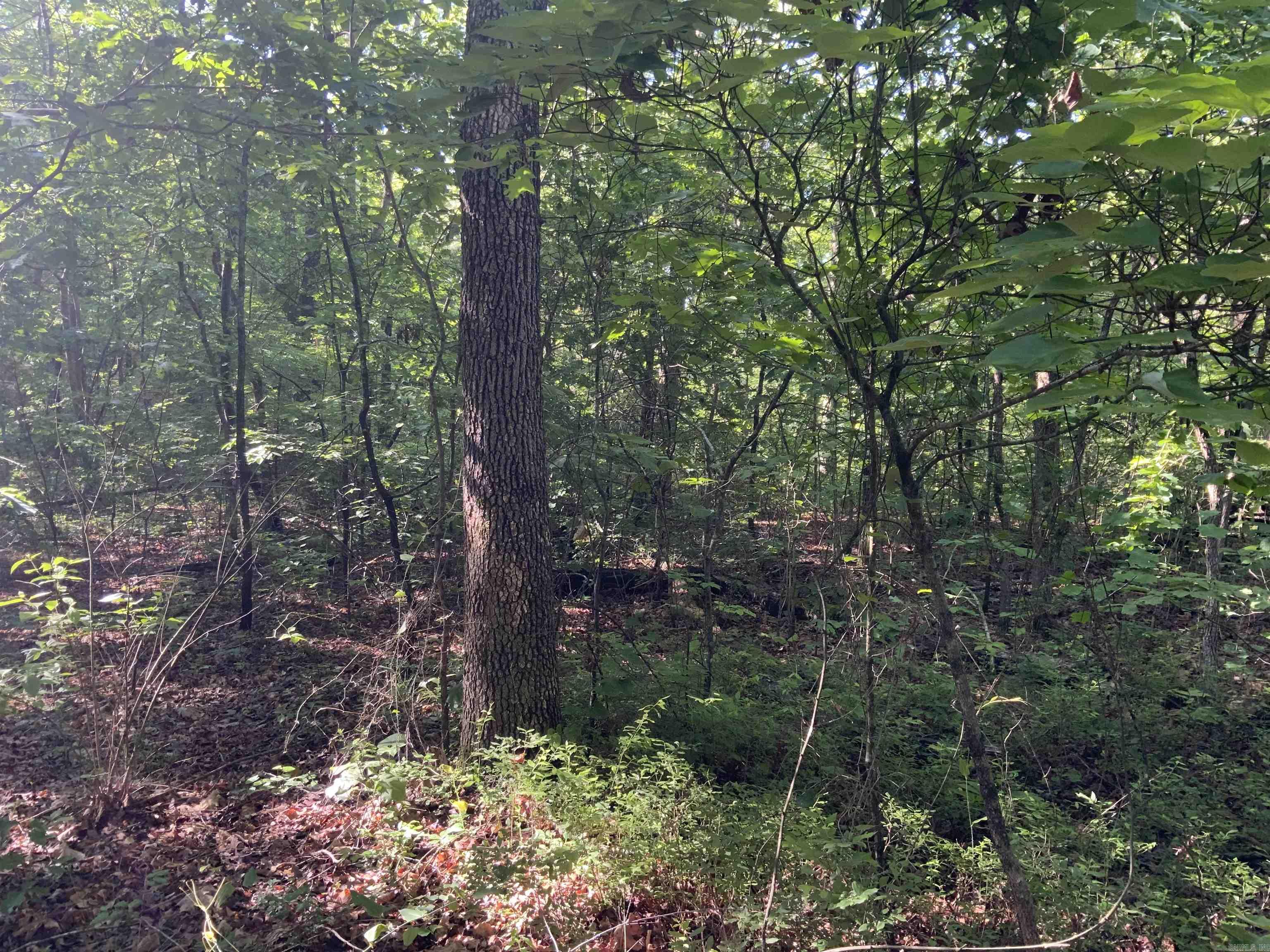 Not in Subdivision - Land