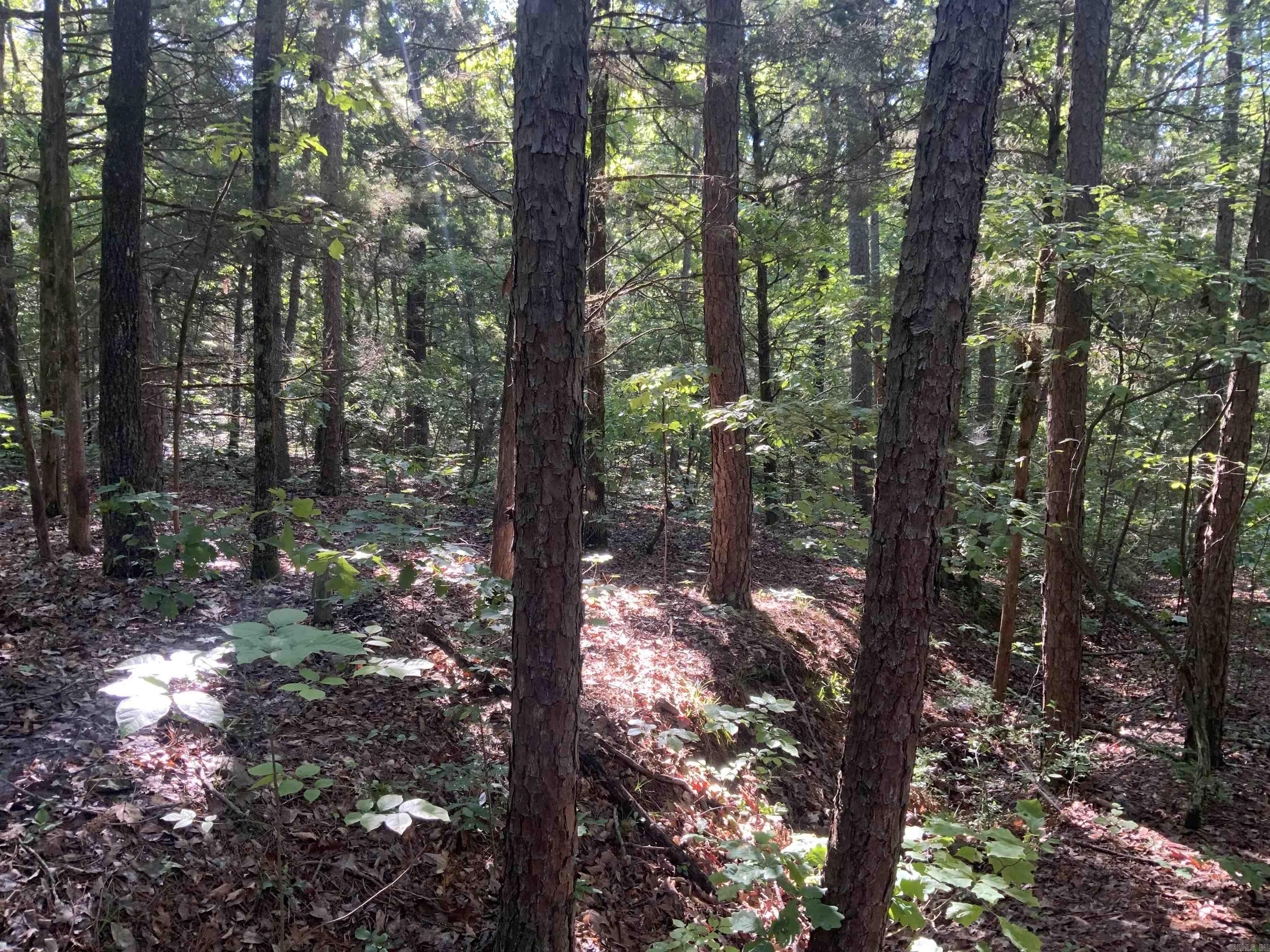 Not in Subdivision - Land