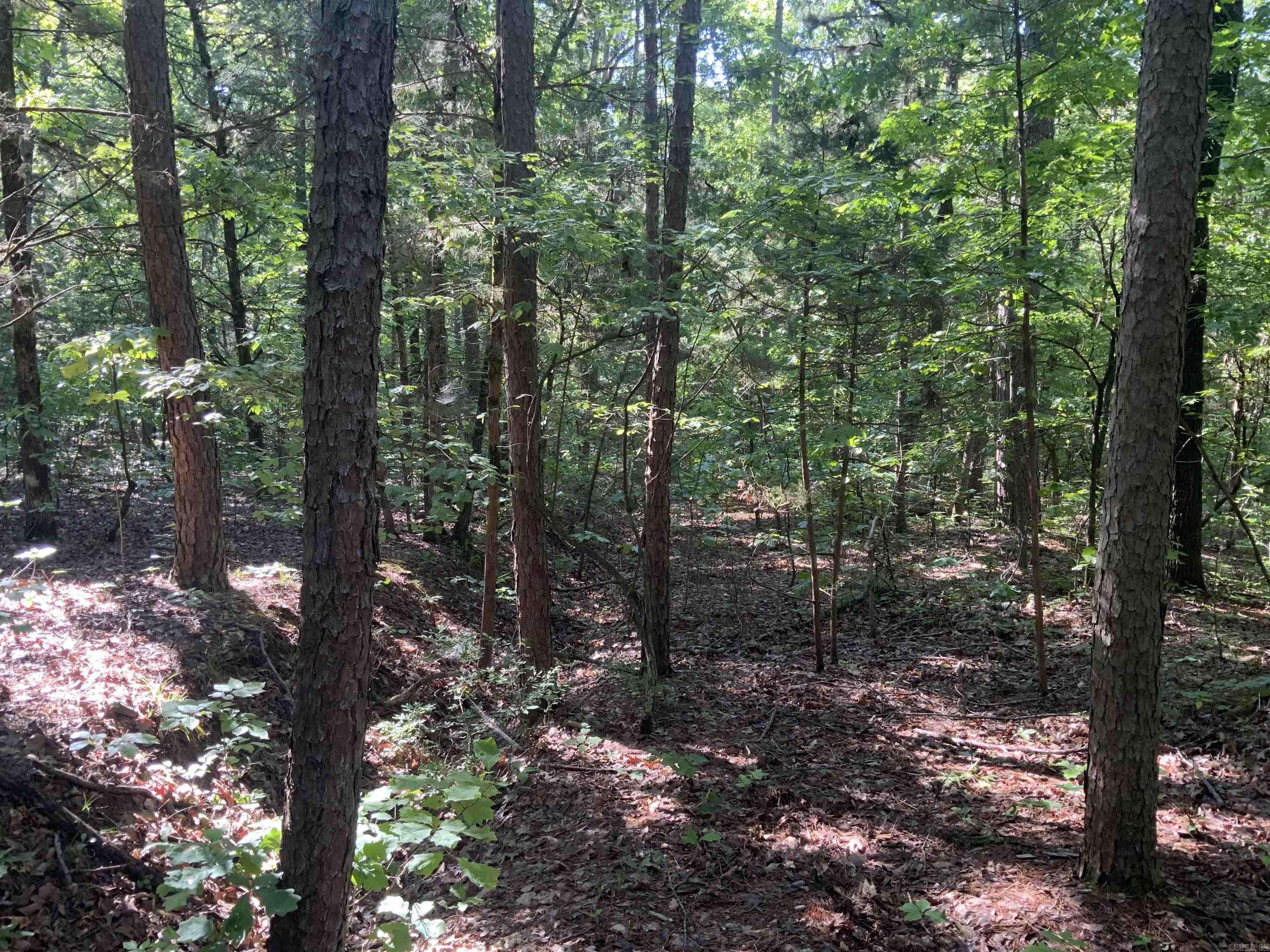 Not in Subdivision - Land