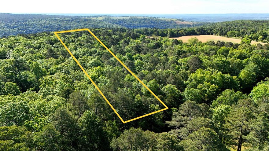 Owner Financing Available! This beautiful 5-acre property features mature trees, paved road frontage, and is nestled in a desirable neighborhood just minutes from Heber Springs, Little Red River and Greers Ferry Lake. Enjoy the perfect blend of privacy and convenience—close to top-tier outdoor recreation and everyday amenities. No restrictions!