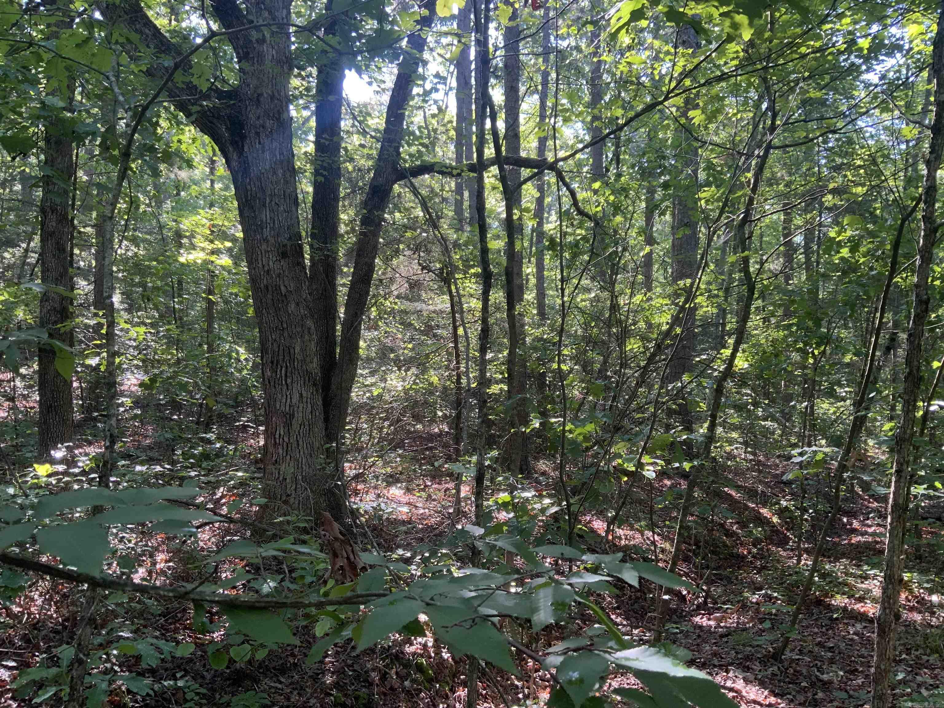 Not in Subdivision - Land