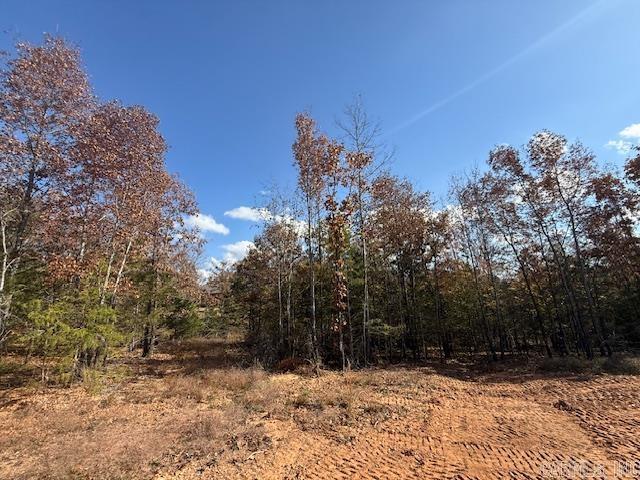 SUMMERLYN SUBDIVISION - Land