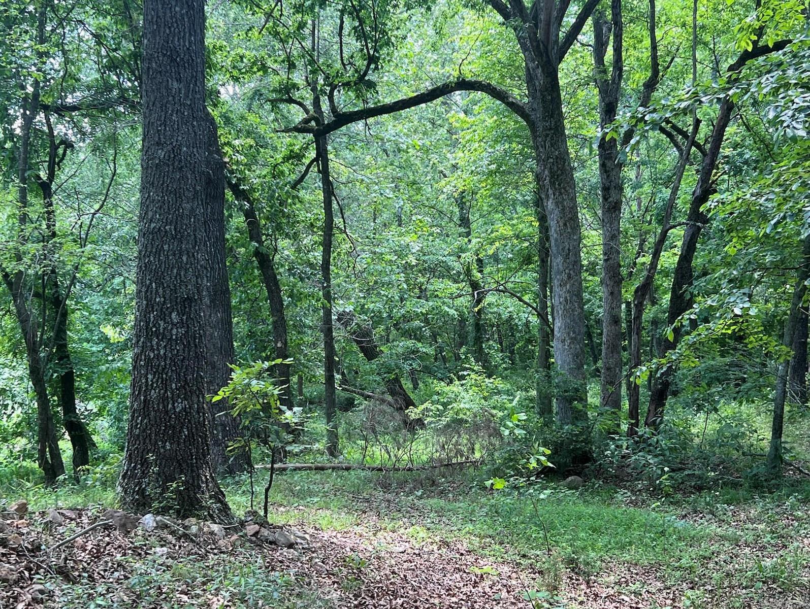 Not in Subdivision - Land