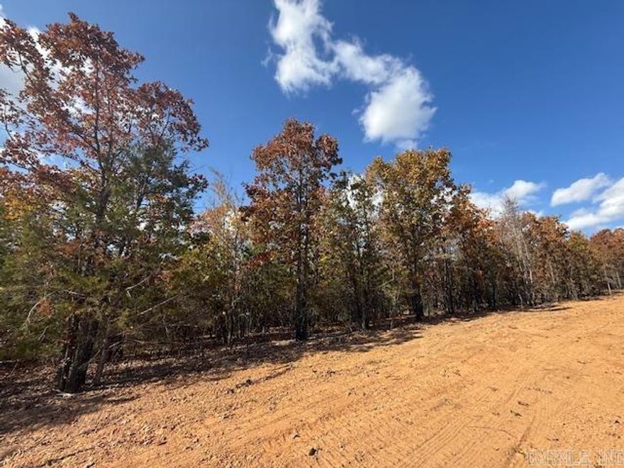 Wooded lot perfect for building your home or building a home to sale.  You could leave trees at the back of the lot for privacy.  All utilities are on the property. 1200 sq. ft. minimum