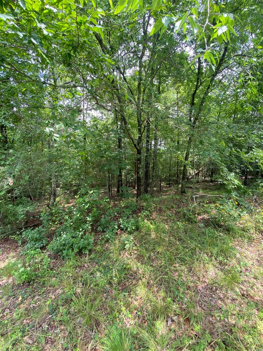Wooded lot on Balboa Golf Course with common property to one side. The perfect place to build your next home! For first-time Hot Springs Village members, a one-time buy-in fee of $1500 applies. Feel free to call with any questions!