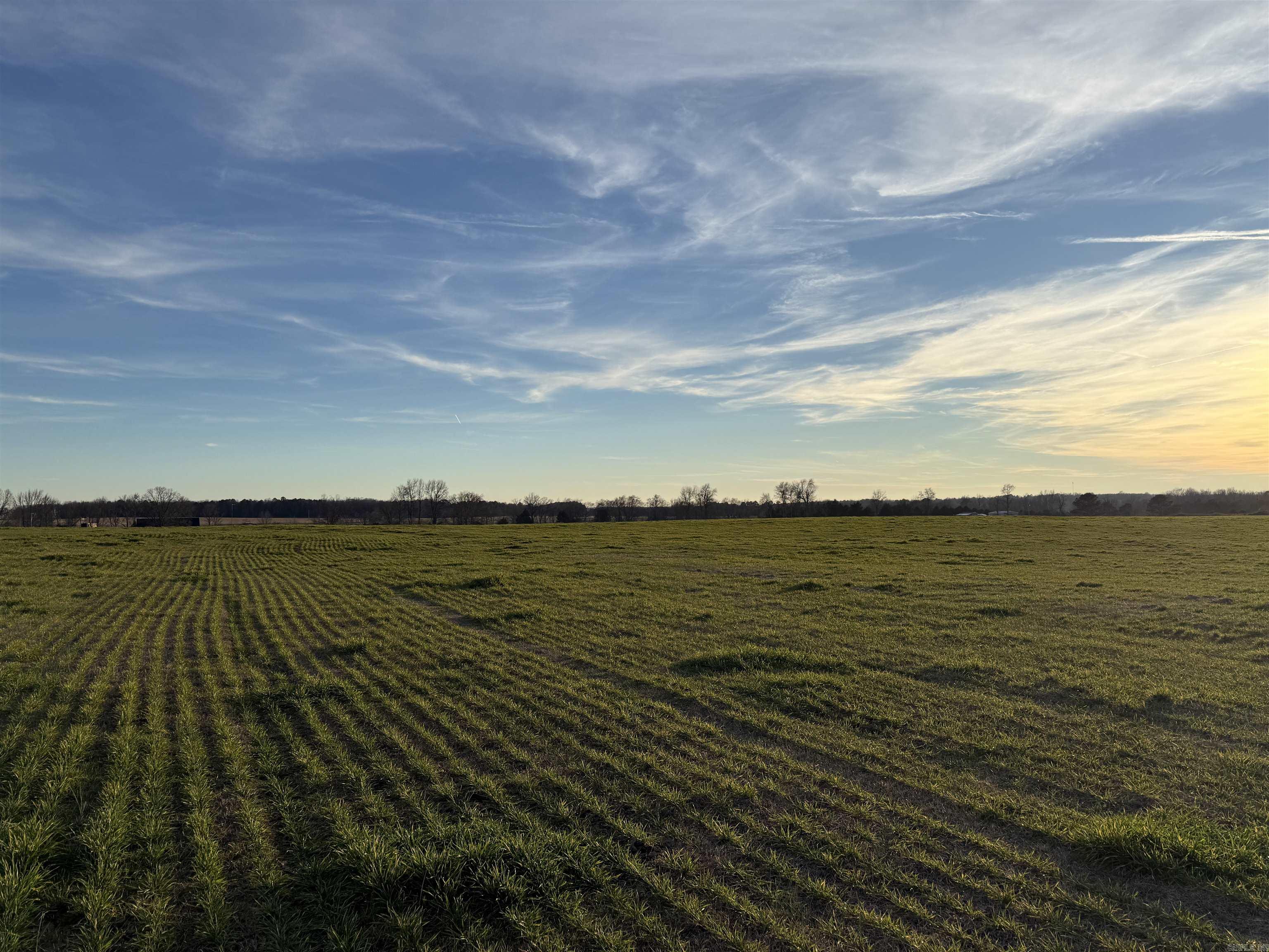 Metes & Bounds - Farm