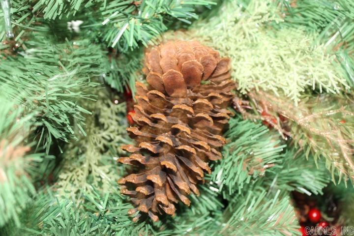 EVERGREEN HGTS - Residential