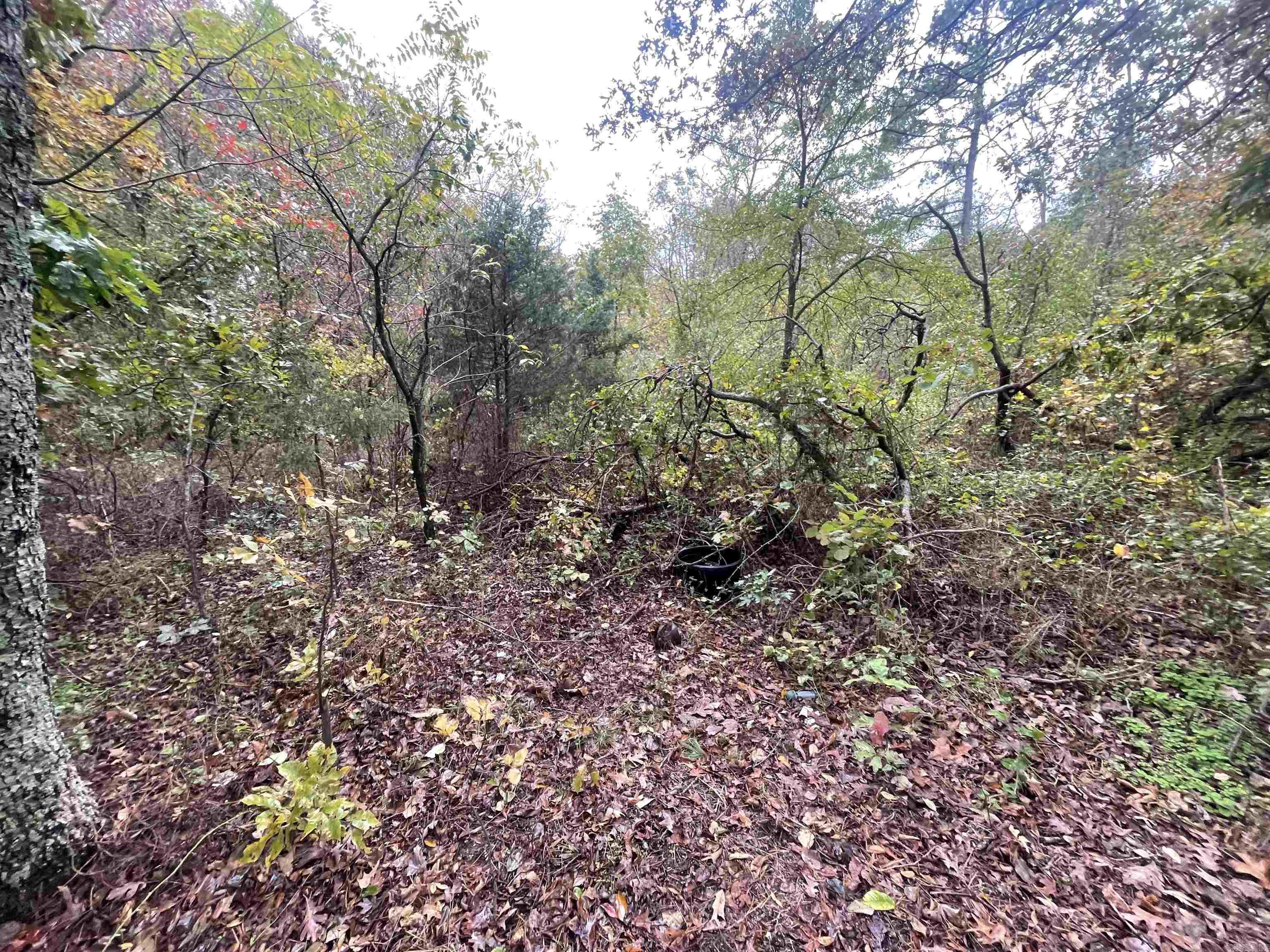 Metes & Bounds - Land