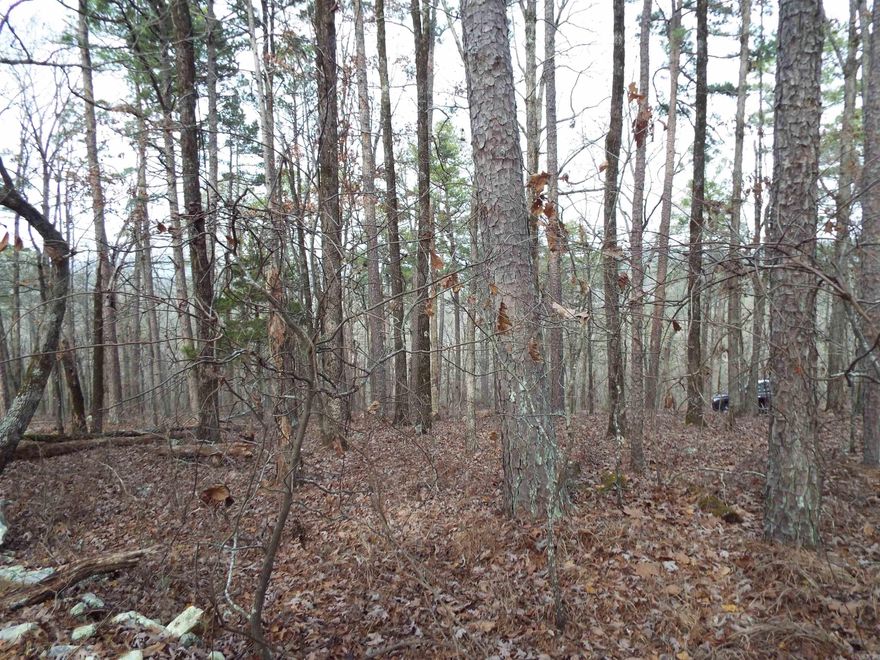 Imagine your dream home on a view lot high atop the spine of Hot Springs Village! This lot provides views on both the north and the south sides, just a short drive from Desoto Blvd, and in the center of the Village! You need to check this one out before you make a buying decision