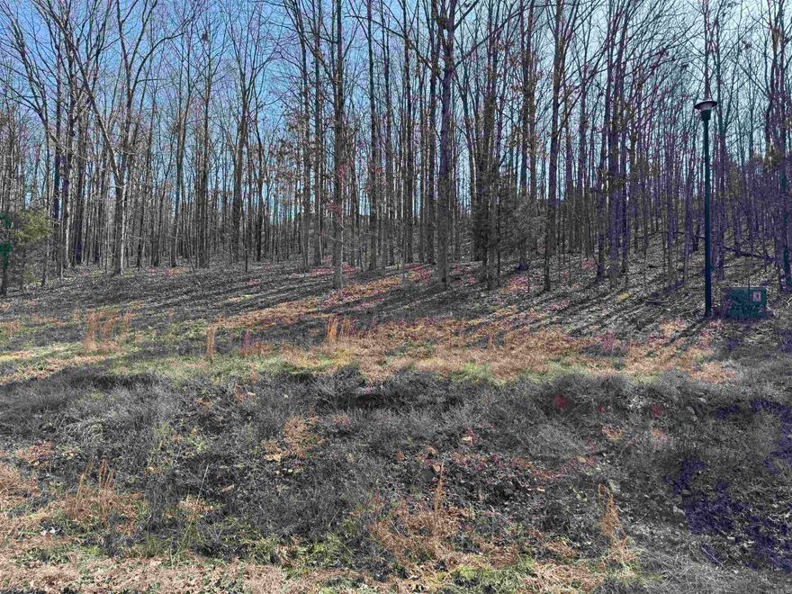 Welcome to Mountain Ranch Estates! This is a private gated community with large lots for all property owners. Lot 57  has a partial view of the community lake. The Sellers have had this lot perc tested in the past with success. This lot is within the Cabot School District.  Approx 20 minutes from Cabot High School and only a few minutes from 67/167. Come checkout Mtn Ranch Estates! See Agent Remarks.