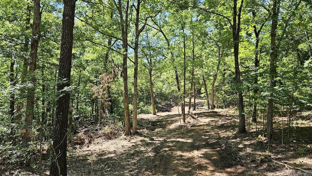 This spectacular wooded tract is loaded with options and opportunities. Located near Bull Shoals Lake, Peel, AR, the White River, and the famous Buffalo National River… this place is ideally situated in the heart of all that makes the Ozarks an incredibly desirable and special destination. This wooded parcel sports some spectacular hardwood timber, including White Oak, Red Oak, Walnut, Hickory, Post Oak, Chinquapin Oak, and more. The property is accessed by a deeded easement along with an easement for utilities, and the electric line is less than 500’ from the property, making building a home or cabin that much easier. Primarily comprised of a massive ridge, the property is limitless in regard to uses. The building sites are numerous, and a new clearing has been opened up on the end of a point with a beautiful view. A new road recently dozed off will take you from one end of the land to the other with ease. Several benches and flats flow on the hillside to the east and gently ascend to a wooded bottom sprinkled with some small rock ledges for added character. This place is also packed with deer.