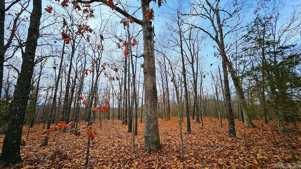 Not in Subdivision - Land