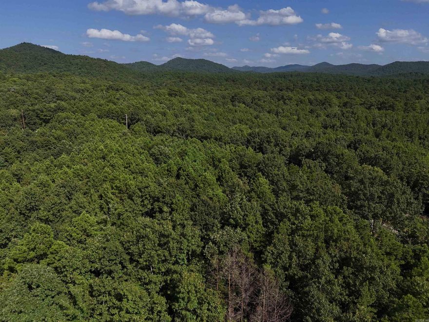 5.768 acres waiting for your new home in the beautiful Rustic Ridge Subdivision! Enjoy mountain views, peaceful surroundings, wildlife, and a great location just minutes to downtown Mena. Ride straight to the Wolf Pen Gap west trailhead which is just 12 miles away. Electric is available, and a survey is completed. Also has a wet weather creek along the northern boundary. This lot is a beautiful place to build, relax and explore - come take a look today!